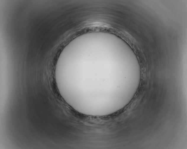 X0000112070774201007221006