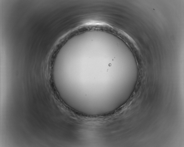 X0000112070775201007221006