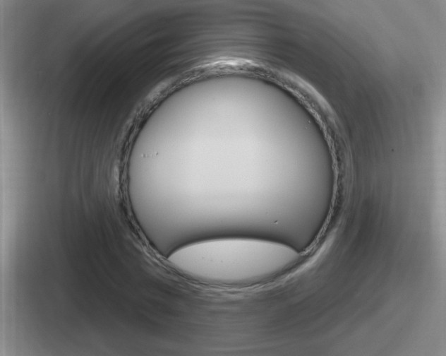 X0000112070777201007221006