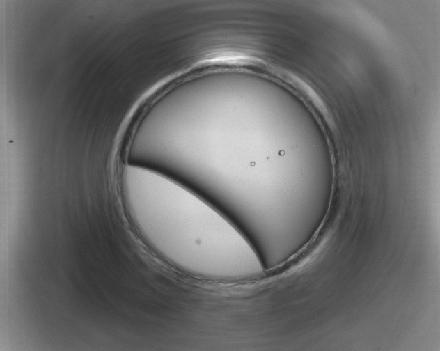 X0000112070779201007221006