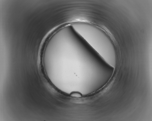 X0000112070780201007221006