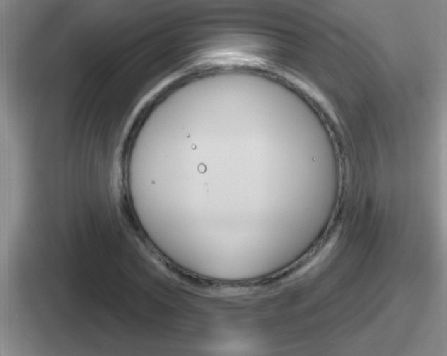 X0000112070782201007221006