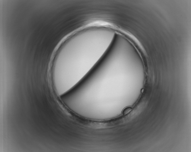 X0000112070783201007221006