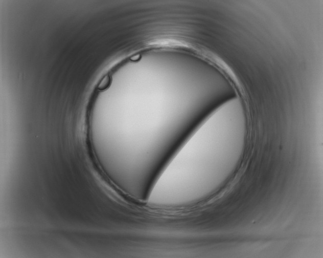X0000112070787201007221006