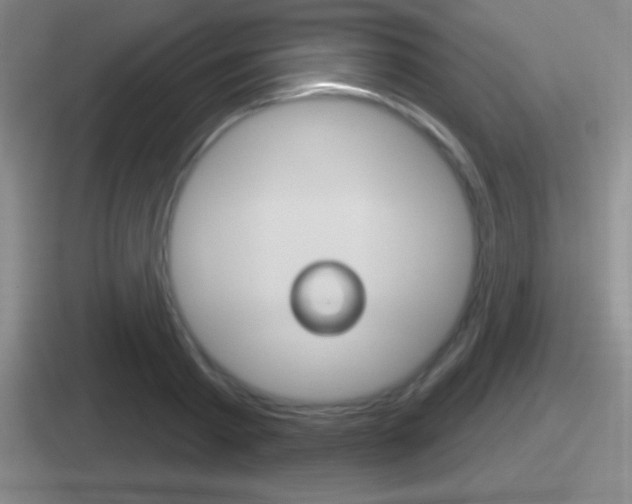 X0000112070793201007221006