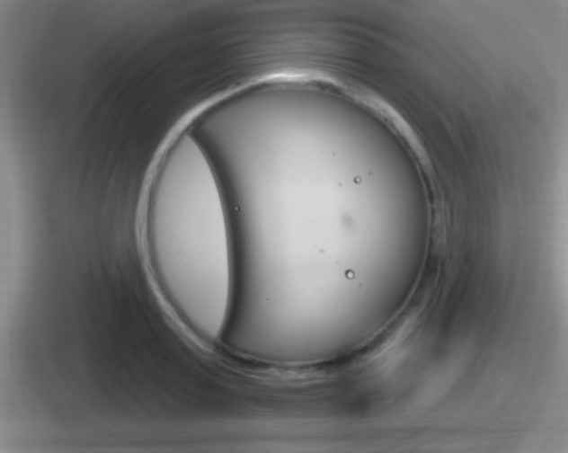 X0000112070795201007221006