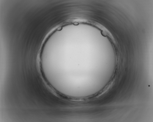 X0000112070798201007221006