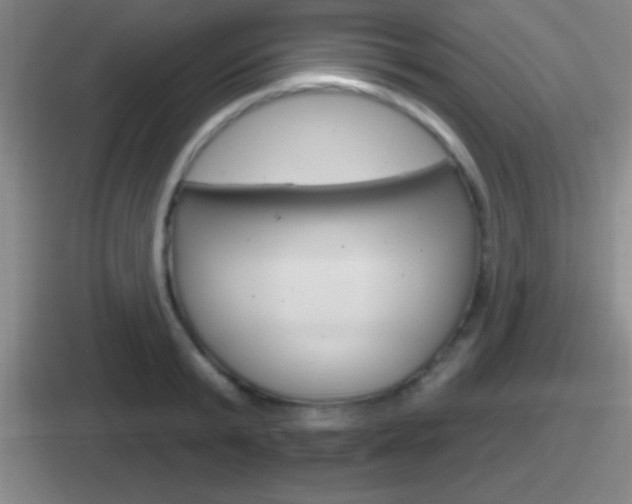 X0000112070799201007221006