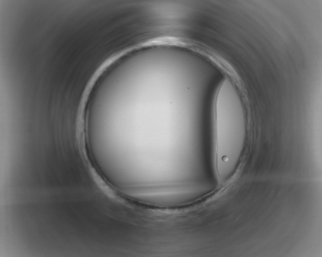 X0000112070800201007221006