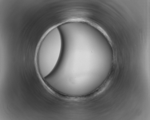 X0000112070803201007221005