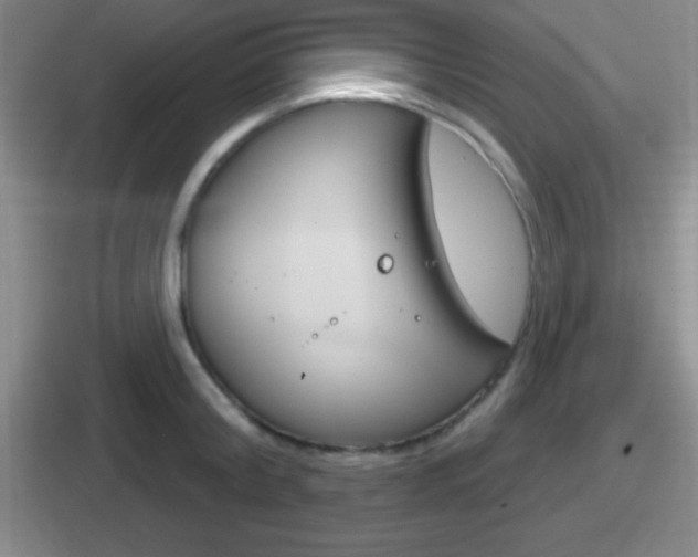 X0000112070804201007221005