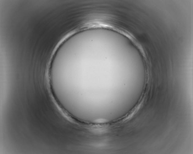X0000112070806201007221005