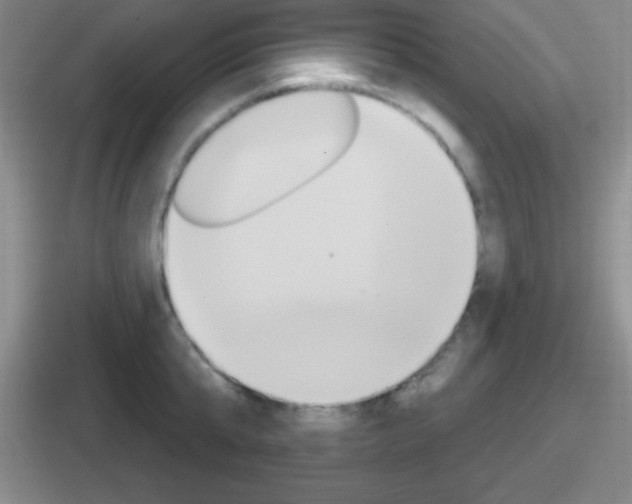 X0000112070807201007221005