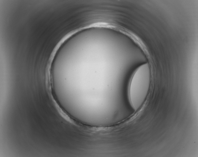 X0000112070808201007221005