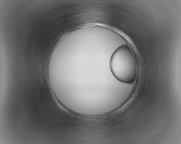 X0000112070809201007221005