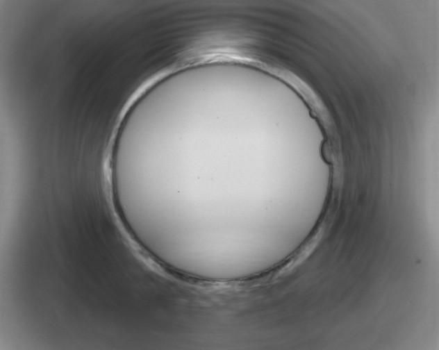 X0000112070814201007221005