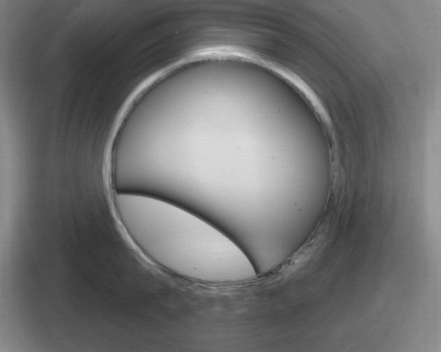 X0000112070815201007221005