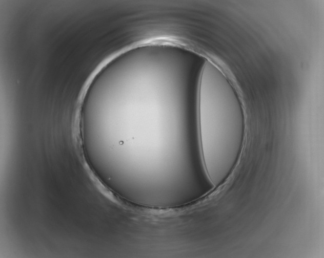 X0000112070816201007221005