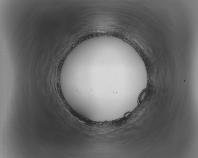 X0000112070817201007221005