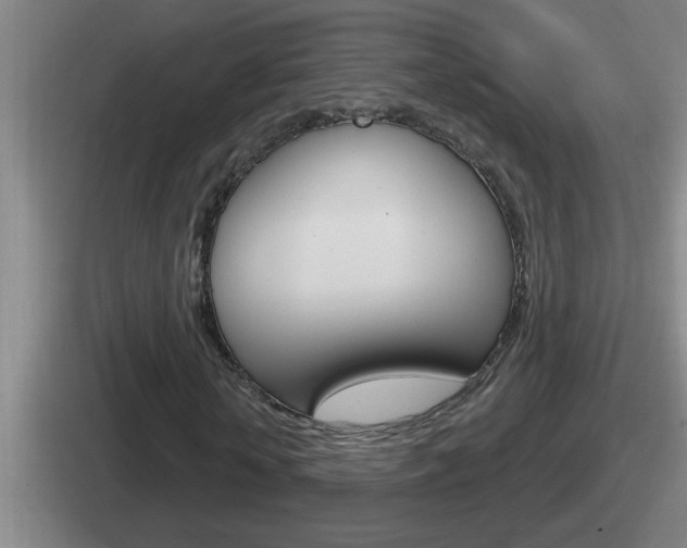 X0000112070818201007221005
