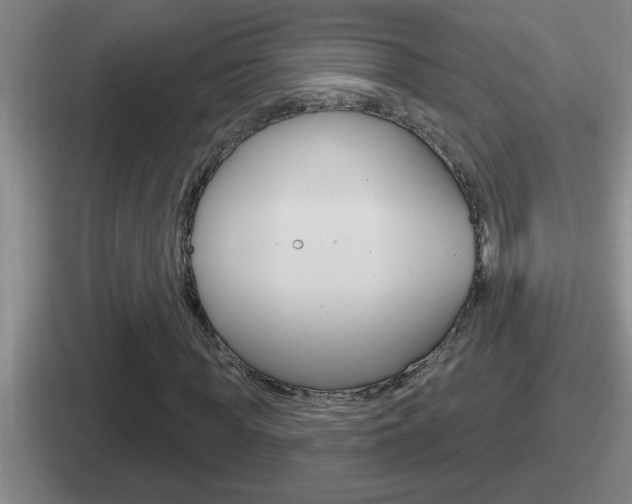 X0000112070819201007221005