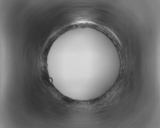 X0000112070823201007221005