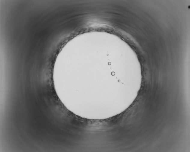 X0000112070824201007221005