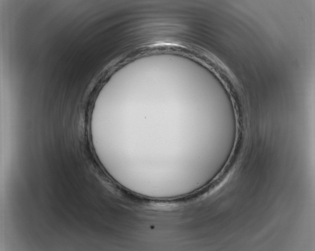 X0000112070825201007221005