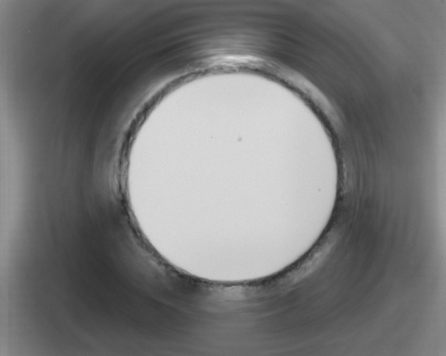 X0000112070828201007221005