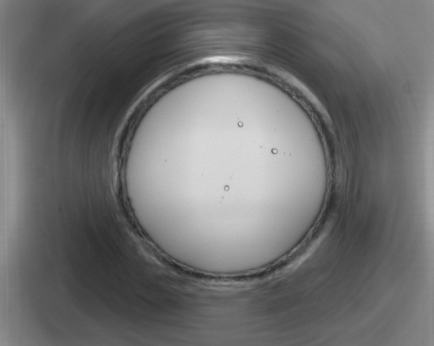 X0000112070829201007221005