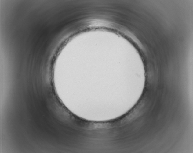 X0000112070832201007221005