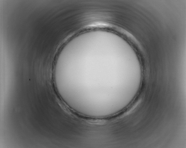 X0000112070833201007221005