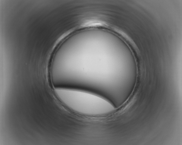 X0000112070834201007221005