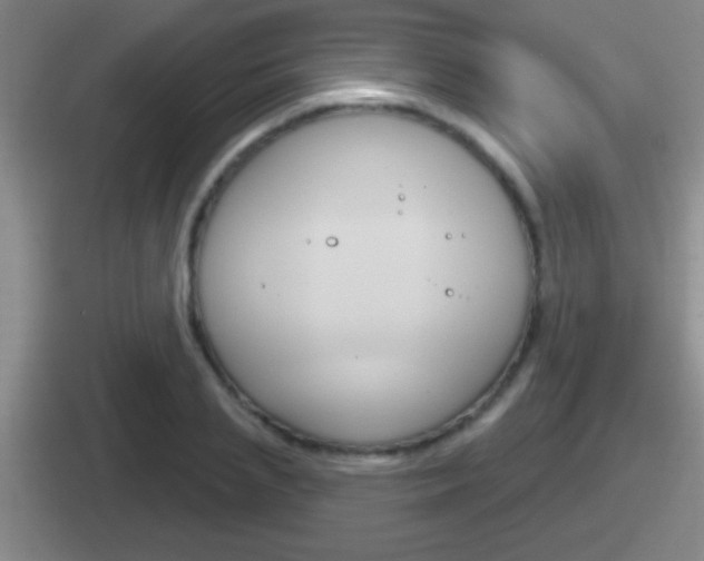 X0000112070837201007221005