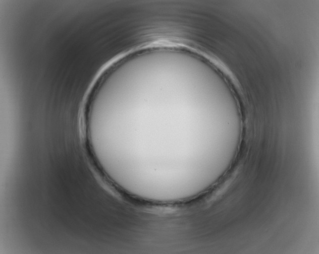X0000112070838201007221005