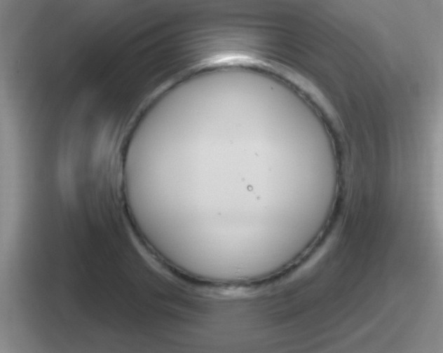 X0000112070841201007221005