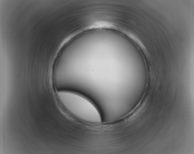 X0000112070842201007221005