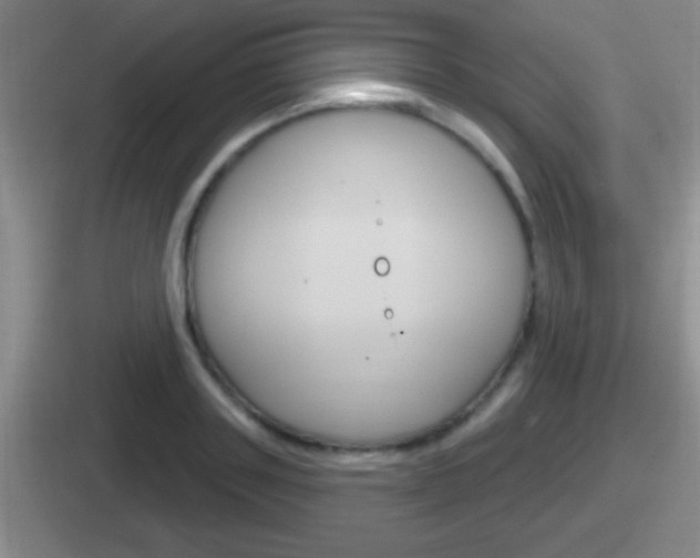 X0000112070843201007221005