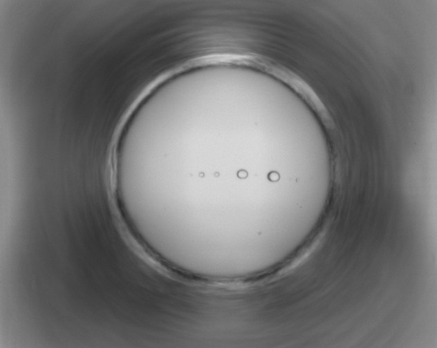 X0000112070844201007221005