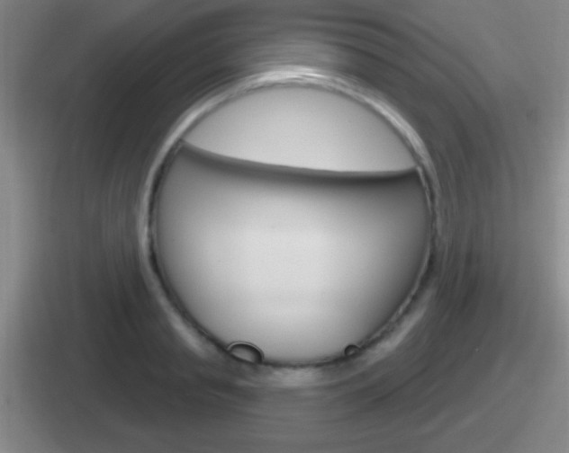 X0000112070845201007221005