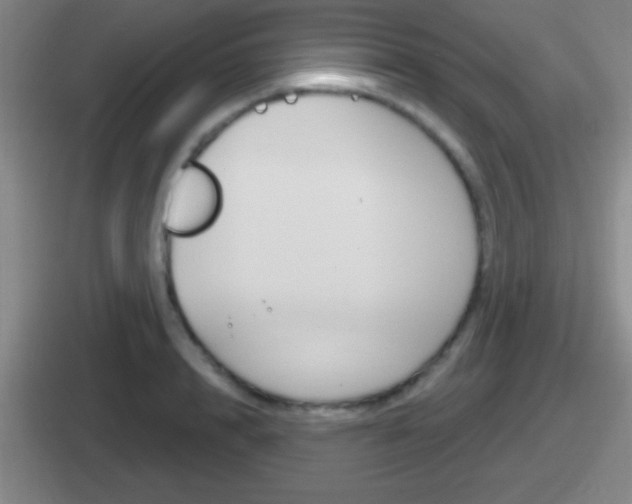 X0000112070848201007221005