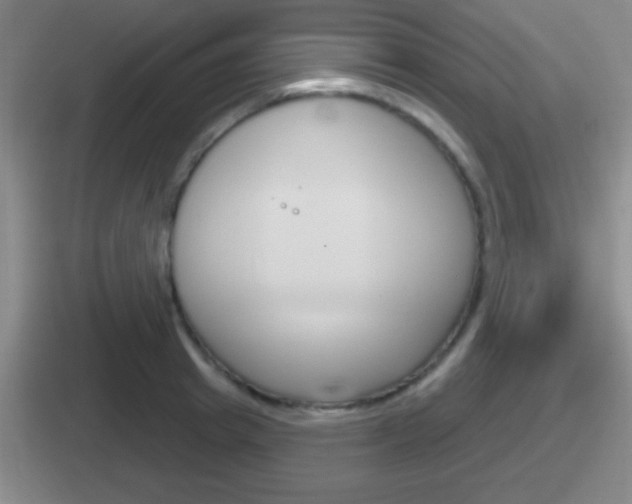 X0000112070849201007221005