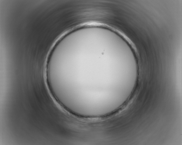 X0000112070853201007221005