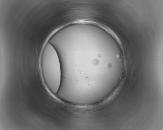 X0000112070855201007221005