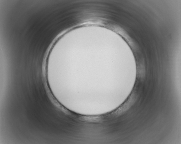 X0000112070856201007221005