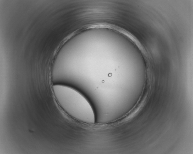 X0000112070857201007221005