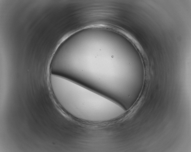 X0000112070858201007221005