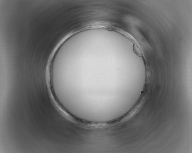 X0000112070859201007221005