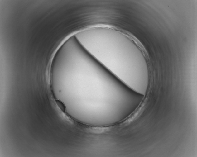 X0000112070860201007221005