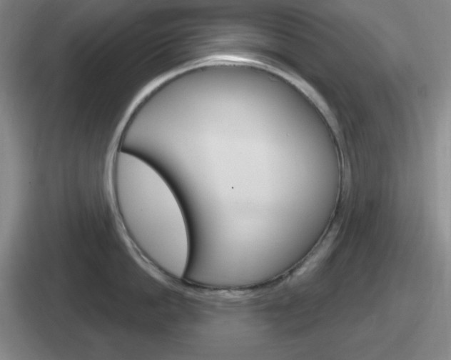 X0000112070862201007221005
